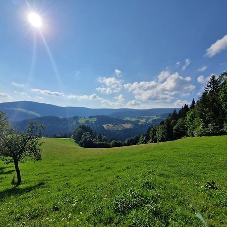 Turisticna Kmetija Ramsak Villa Zreče Exteriör bild