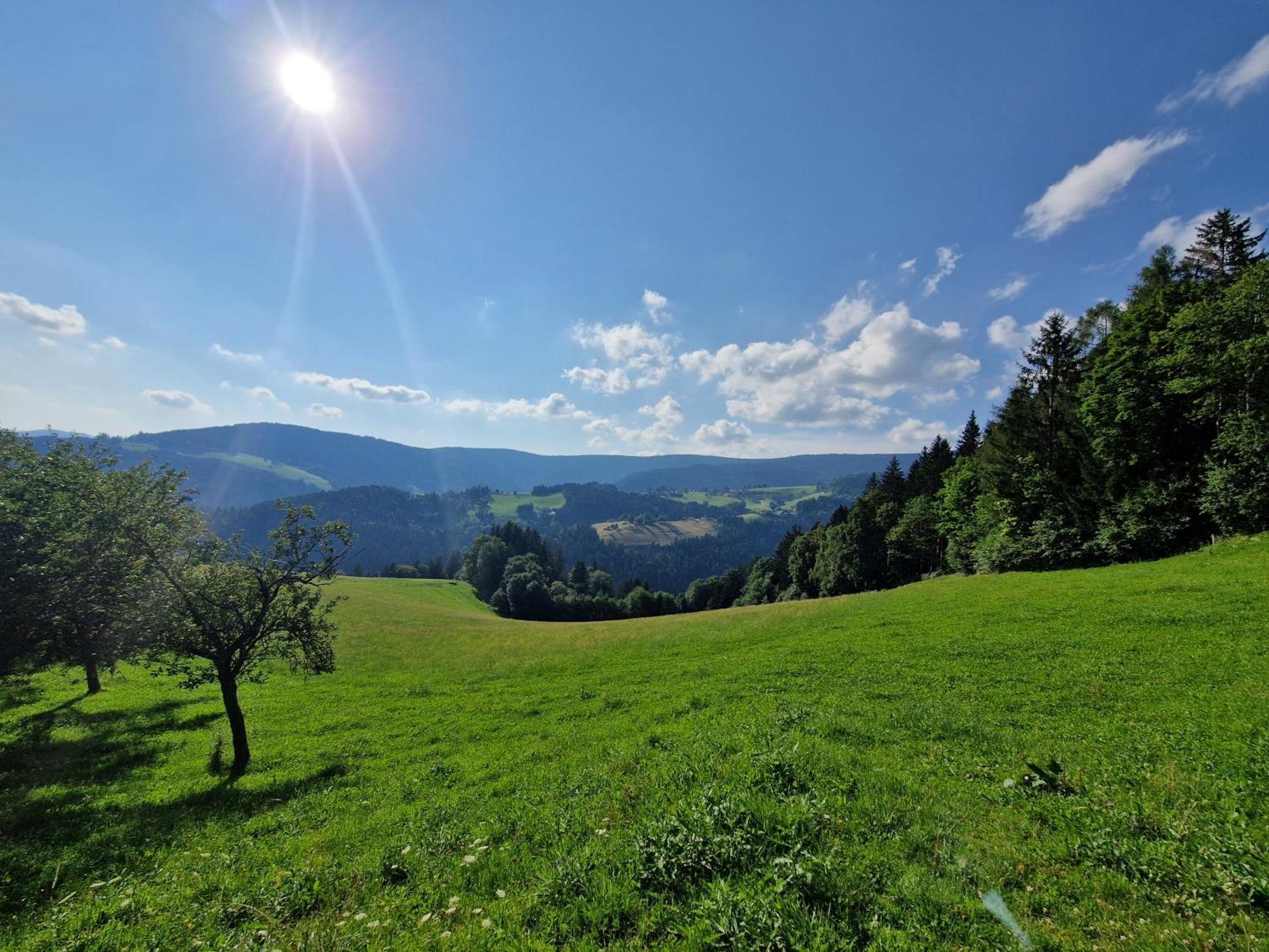 Turisticna Kmetija Ramsak Villa Zreče Exteriör bild